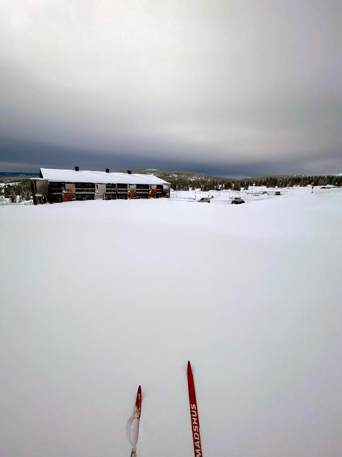 Lys Og Moderne Leilighet Rett Ved Skiloypa Pa Nordseter - Kort Vei Til Sjusjoen, Lillehammer Og Hafjell - Dyr Ikke Tillatt ภายนอก รูปภาพ