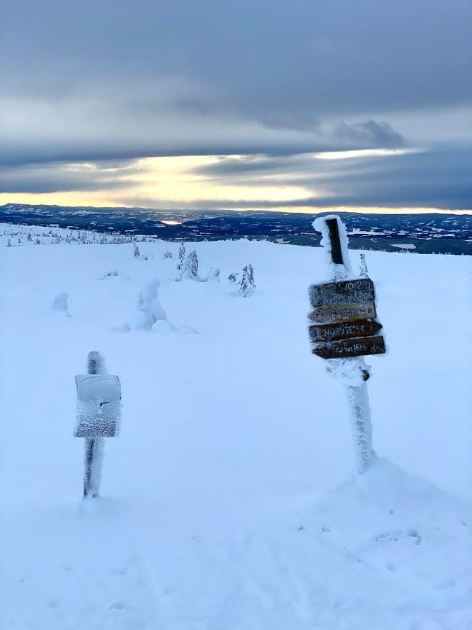 Lys Og Moderne Leilighet Rett Ved Skiloypa Pa Nordseter - Kort Vei Til Sjusjoen, Lillehammer Og Hafjell - Dyr Ikke Tillatt ภายนอก รูปภาพ